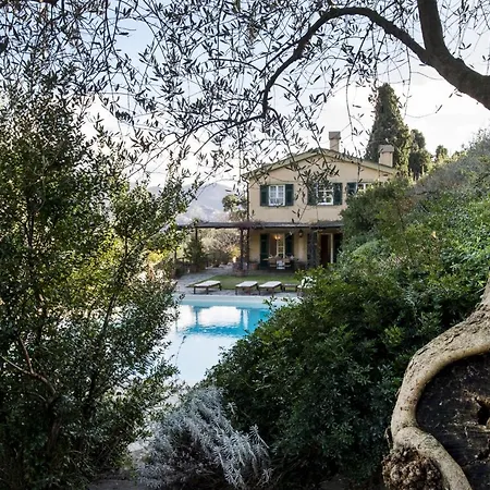 Con Piscina Tra Gli Ulivi Di Villa *